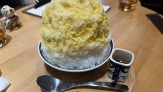 岐阜県美濃市のかき氷専門店SEIRYU GORIのかき氷